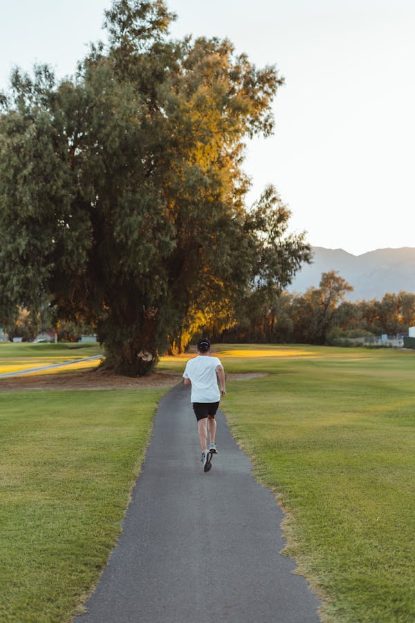 The Subtle Art of Energy Alignment: A Path to True Wellness